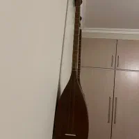 تنبور آوای دوست|سازهای سنتی|شیراز, فرهنگ شهر|دیوار