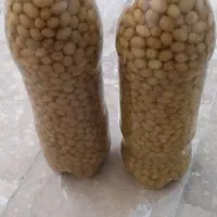 ترشی‌قوره‌وآبغوره