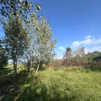 ۹۰۰ متر زمین با پروانه ساخت جاده رشت فومن