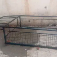 اتاق وانت