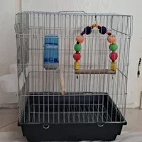 عروس هلندی|لوازم جانبی حیوانات|تهران, امیریه|دیوار