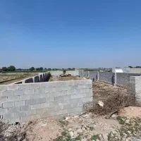 زمین-کوچه-باغ-نهال