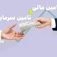 سرمایه گذار