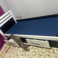 تخت خواب تکنفره های کلاس|تخت و سرویس خواب|اردبیل, |دیوار