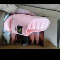 حراج دمپایی زیر قیمت تولیدی|کیف، کفش، کمربند|گنبد کاووس, |دیوار