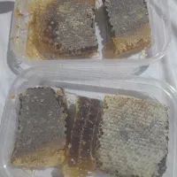 عسل طبیعی اویش وگون از دامنه سبلان|خوردنی و آشامیدنی|رشت, امین الضرب|دیوار