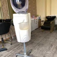 ماکرومیست و کلامازون لیز