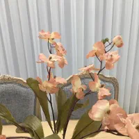 دو عدد گل و گلدان پتینه و ارکیده|گل مصنوعی|سنندج, |دیوار