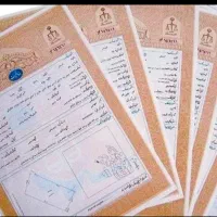 وثیقه جهت آزادی زندانیان مالی وغیره موجوده