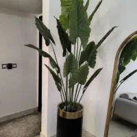 درختچه مصنوعی وارداتی