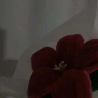 گل مصنوعی|گل مصنوعی|گرمسار, |دیوار