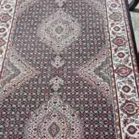 قالی|فرش|دورود, |دیوار