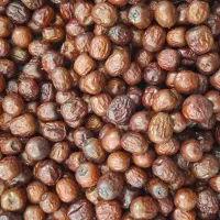 عناب بیرجند یلدا