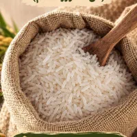 برنج طارم دم سیاه (من کشاورز هستم)