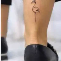 آموزش تاتو بدن|خدمات آموزشی|مشهد, شفا|دیوار