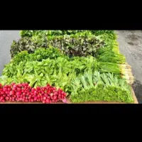 به یک سبزی فروش نیازمندم