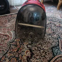 عروس هلندی دستی وباهوش وسخنگو|پرنده|زنجان, |دیوار