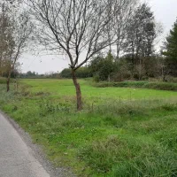 پلاک های از ۲۵۰ متر تا ۴۲۰ متر بر آسفالت متری ۲۵۰۰