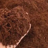 خاک بستر حلزون وخزندگان