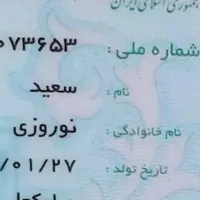 گم شده