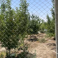 ۷۰۰ متر باغچه با درختان مثمر اقدام به سند