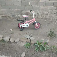 دوچرخه دوازده بچهگانه سالم