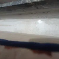 کارتون تلویزیون ۵۵