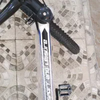 دوچرخه VIVA|دوچرخه، اسکیت، اسکوتر|نیشابور, گنبد سبز|دیوار