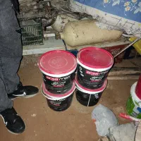 درب آپارتمانی ، کالباس بر محک ، چسب کاشی