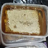 عسل چهل گیاه با موم وبدون موم (حضوری)