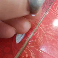 انگشتر نقره عقیق  شدف الشمس