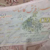 دو تخته فرش ۱۲ متری کاشان گل برجسته|فرش|محمدشهر, محمدشهر|دیوار