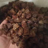 انواع میوه های خشک شده بسیار تمیز و خوشمزه