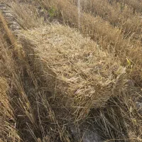 اکیپ بارگیری کارگر نیازمندیم