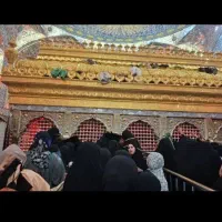 هر هفته بدون کنسلی