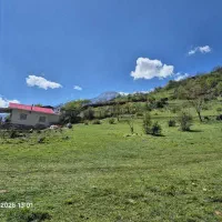 فروش-3000-متر-زمین-در-دوهزار-بالاس