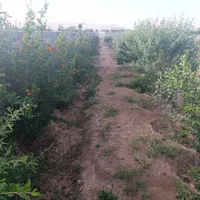 زمین باغی دارای مجوز ویلاسازی(مناسب سرمایه گذاری)|فروش زمین و ملک کلنگی|صفادشت, |دیوار
