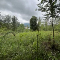 زمین خوش نقش و دوبر|فروش زمین و ملک کلنگی|تهران, میدان میوه و ترهبار مرکزی|دیوار