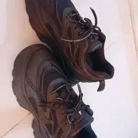 کفش لژ مخفی اسپورت|کیف، کفش، کمربند|شیراز, پانصد دستگاه ارتش|دیوار