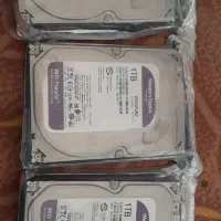 هارد وسترن دیجیتال بنفش ۱ ترا و ۵۰۰ گیگ