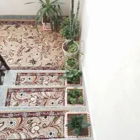گل های زیبا و سرحال