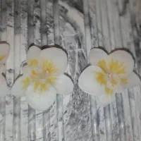 شمع ارکیده|صنایع دستی و سایر لوازم تزئینی|تهران, مجیدیه|دیوار