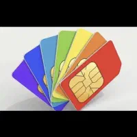 ۰۹۱۳۱۴۵۶۲**