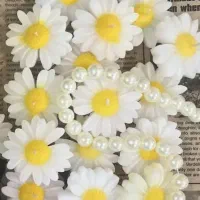 شمع گل بابونه