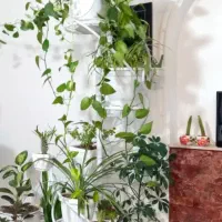 استند گل جا دار