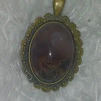 شجر‌ ناب ۱۰م