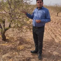 زمین-کشاورزی