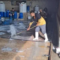 قالیشویی ماهلین در حومه نسیم شهر ،خیر اباد،حصارک