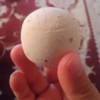 سنگ آسیاب الماس اصل|جواهرات|مرودشت, گندم‎|دیوار