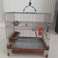 قفس سهره وقناری